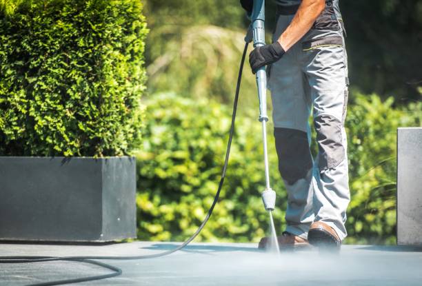 Best Patio and Deck Pressure Washing  in Jarales, NM