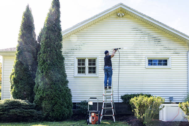 Best Gutter Cleaning  in Jarales, NM